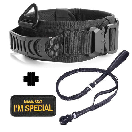 Heavy Duty Dog Leash with Elastic Bungee for Medium & Large Dogs