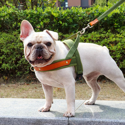 No Pull Dog Harness Soft Padded