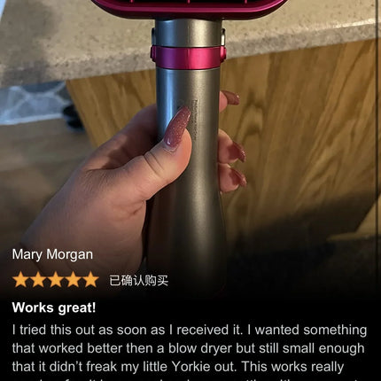 2 in 1 Pet Hair Dryer Soft Combing 110V , 220V