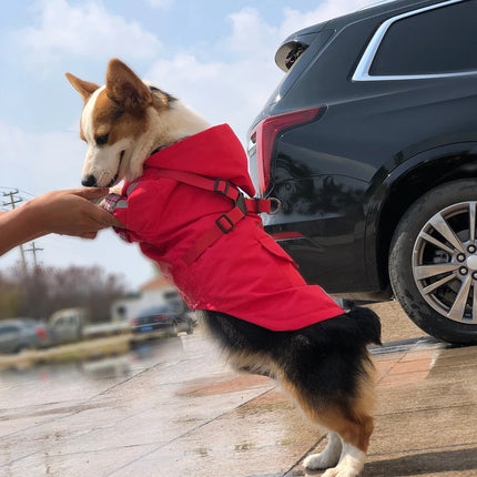 Dog Raincoat with Hooded and Leash Ring Waterproof