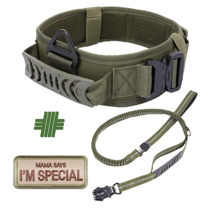 Heavy Duty Dog Leash with Elastic Bungee for Medium & Large Dogs