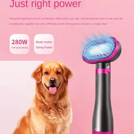 2 in 1 Pet Hair Dryer Soft Combing 110V , 220V