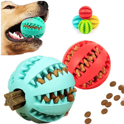 Rubber Balls Puppy Chewing