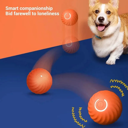Dog Toy Ball Automatic Moving