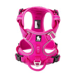 FUCHSIA / XS / CHINA