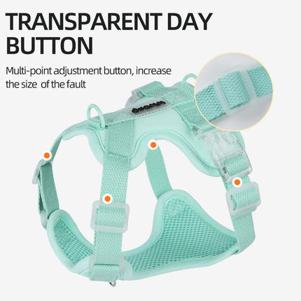 Colorful Lightweight Dog Harness for Small Breeds