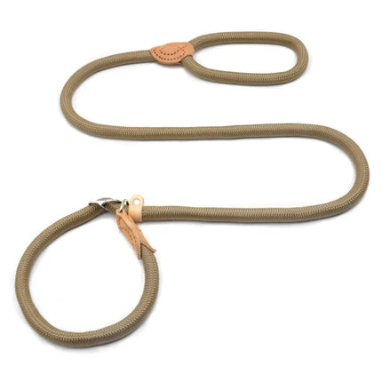 Dog Walking Leash Slip Rope Adjustable Loop Collar Training Leashes for Large Dogs