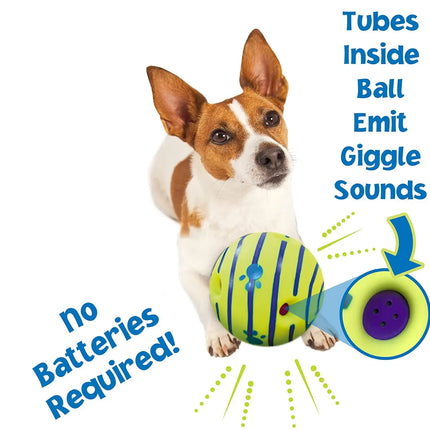 Dog Toy Balls