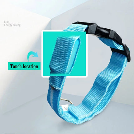 Led Dog Collar USB Charging/Battery