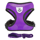 Purple / L(4-6 kg)