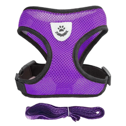 Dog Harness Walking Lead Leash For Small Dogs