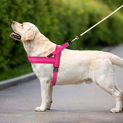 No Pull Dog Harness Soft Padded
