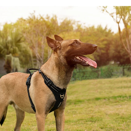 TRUE LOVE Pet Harness No Pull  Comfortable Control