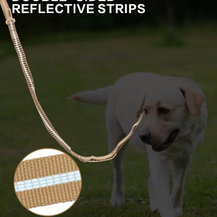 Reflective Shock Absorbing Pet Leashes with Car Seatbelt for Large Dogs
