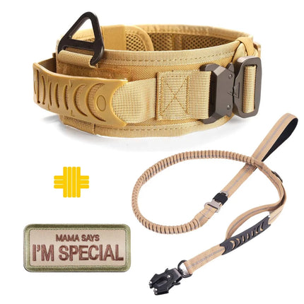 Heavy Duty Dog Leash with Elastic Bungee for Medium & Large Dogs