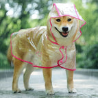 pink / XL