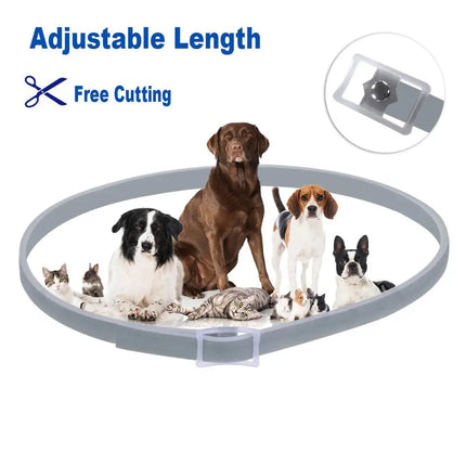 Flea And Tick Collar Silicone Adjustable Dogs Cats Collar 8 Month Protection