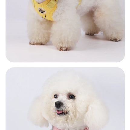 Colorful Lightweight Dog Harness for Small Breeds