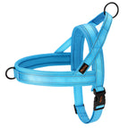 Blue / M