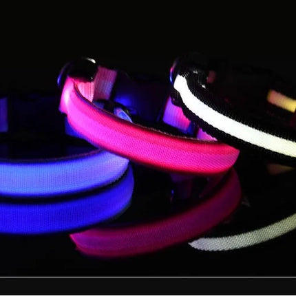 Dog Collar Nylon LED Night Safety