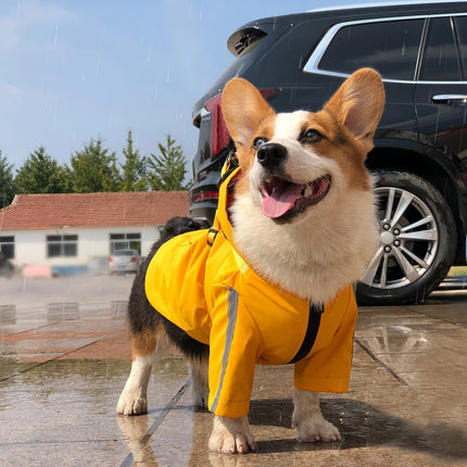 Dog Raincoat with Hooded and Leash Ring Waterproof