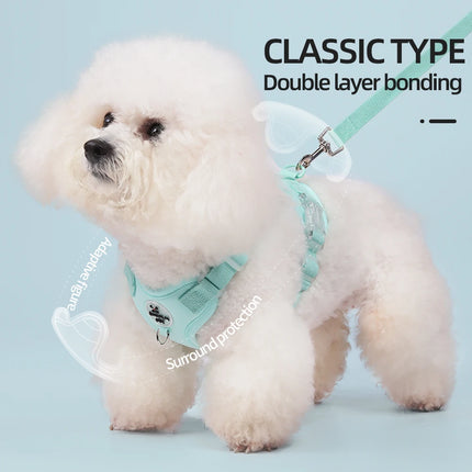 Colorful Lightweight Dog Harness for Small Breeds