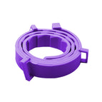 purple / Cat