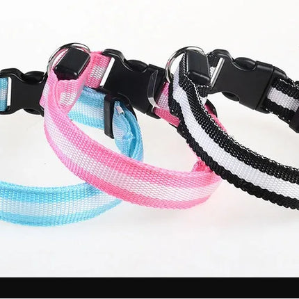 Dog Collar Nylon LED Night Safety