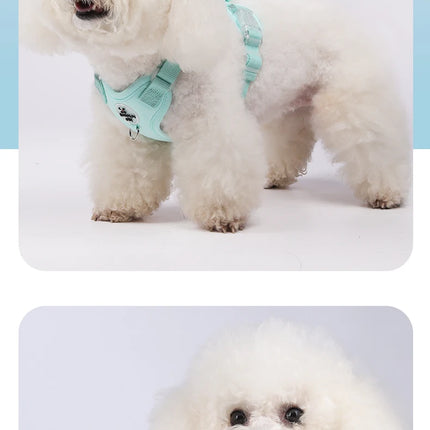 Colorful Lightweight Dog Harness for Small Breeds