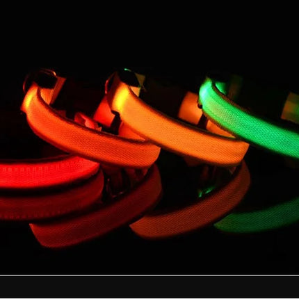 Dog Collar Nylon LED Night Safety