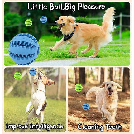 Rubber Balls Puppy Chewing