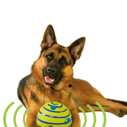 Dog Toy Balls