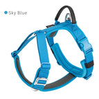 Blue / S