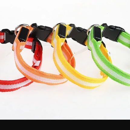 Dog Collar Nylon LED Night Safety