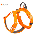 Orange / S