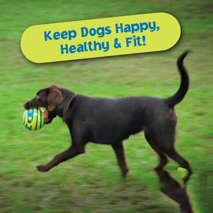 Dog Toy Balls