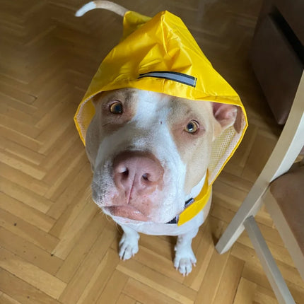 Dog Raincoat Waterproof Hoodie Jacket Rain Poncho