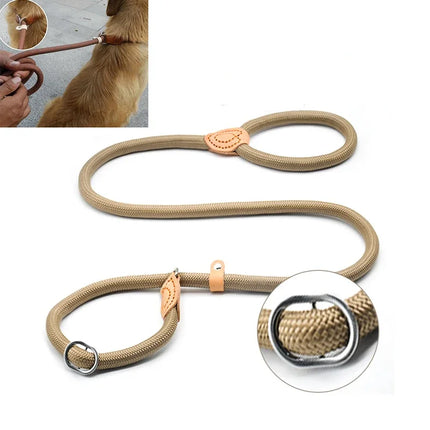 Dog Walking Leash Slip Rope Adjustable Loop Collar Training Leashes for Large Dogs