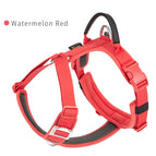 Red / M