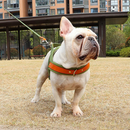 No Pull Dog Harness Soft Padded