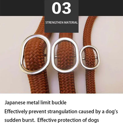 Dog Walking Leash Slip Rope Adjustable Loop Collar Training Leashes for Large Dogs