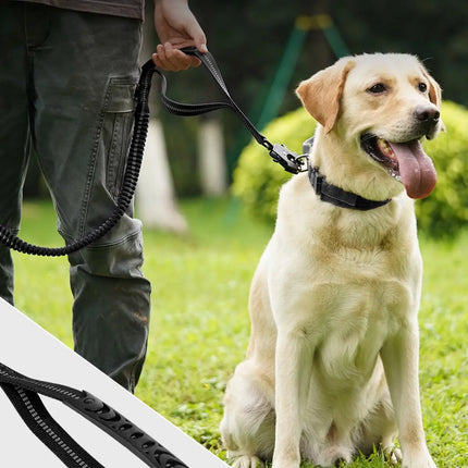 Heavy Duty Dog Leash with Elastic Bungee for Medium & Large Dogs
