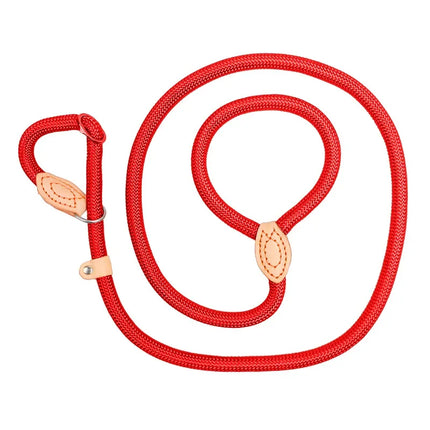 Dog Walking Leash Slip Rope Adjustable Loop Collar Training Leashes for Large Dogs
