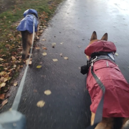 Dog Raincoat Waterproof Hoodie Jacket Rain Poncho