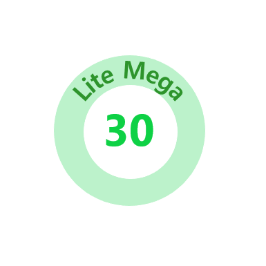 Lite Mega pack (30 QR code)